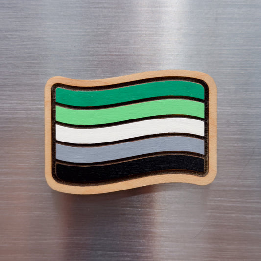 Aromantic Pride Flag Painted Magnet