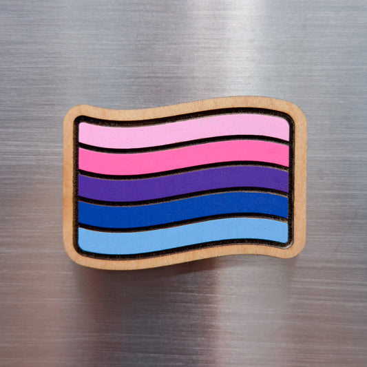 Omnisexual Pride Flag Painted Magnet